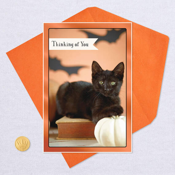 Black Cat Thinking of You Halloween Card, , large image number 5
