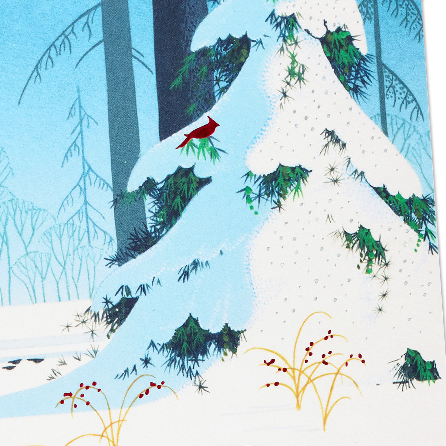 Snowy Pines and Red Birds Boxed Christmas Cards Cover Detail image number 5