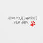 You're My Favorite Birthday Card From the Cat, , large image number 2