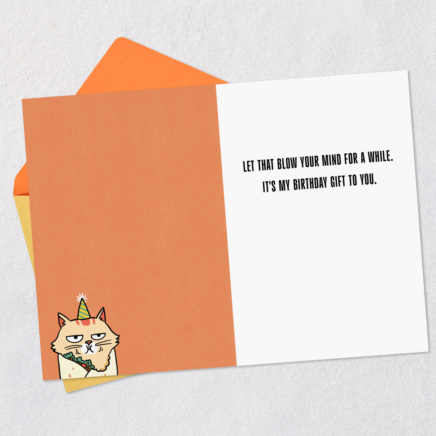 Orange Cat in Tortilla Funny Birthday Card Open Card with Envelope image number 3