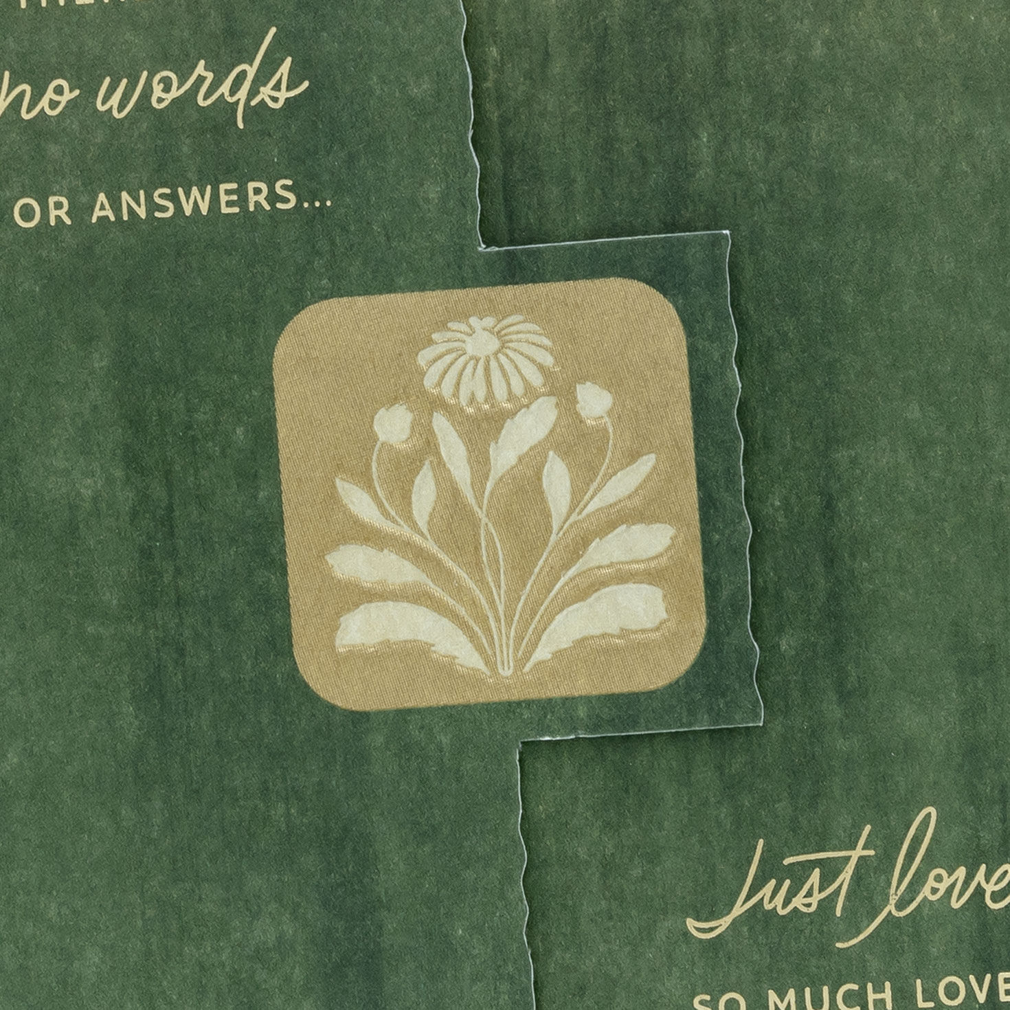 Sage Green and Gold Botanical Sympathy Card Card Front Detail image number 5