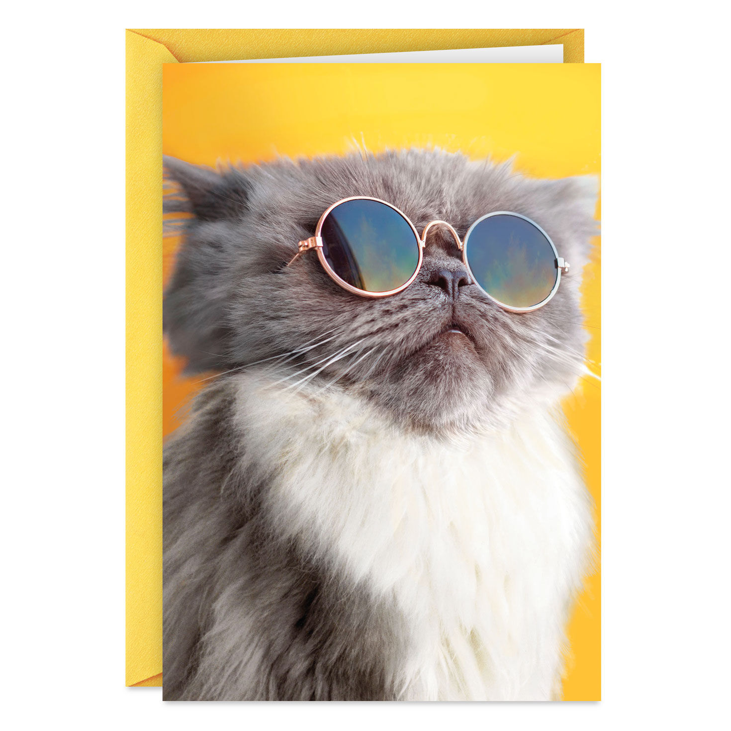 Light the Candles Funny Birthday Card