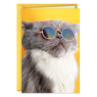 Light the Candles Funny Birthday Card