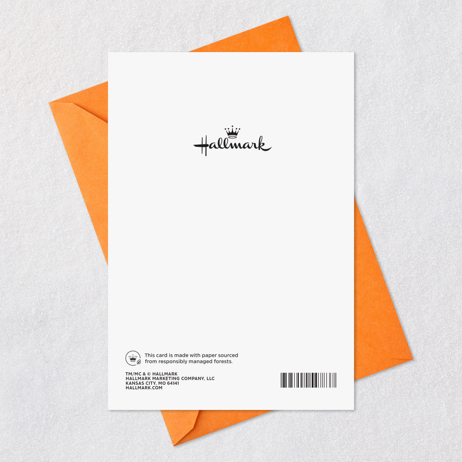 Pumpkin on Wrought Iron Fence Halloween Card, , large image number 7