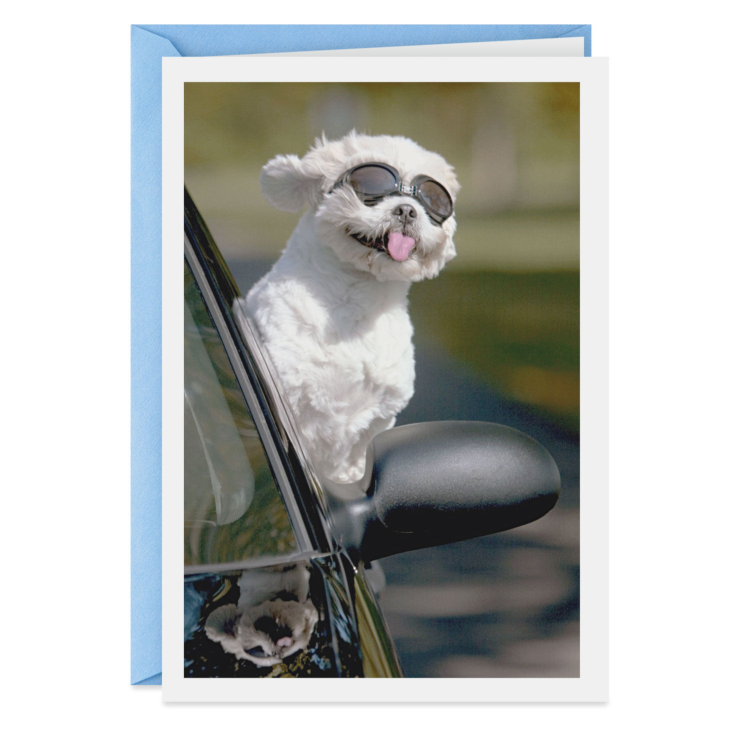 Breezy Dog Just Because Card