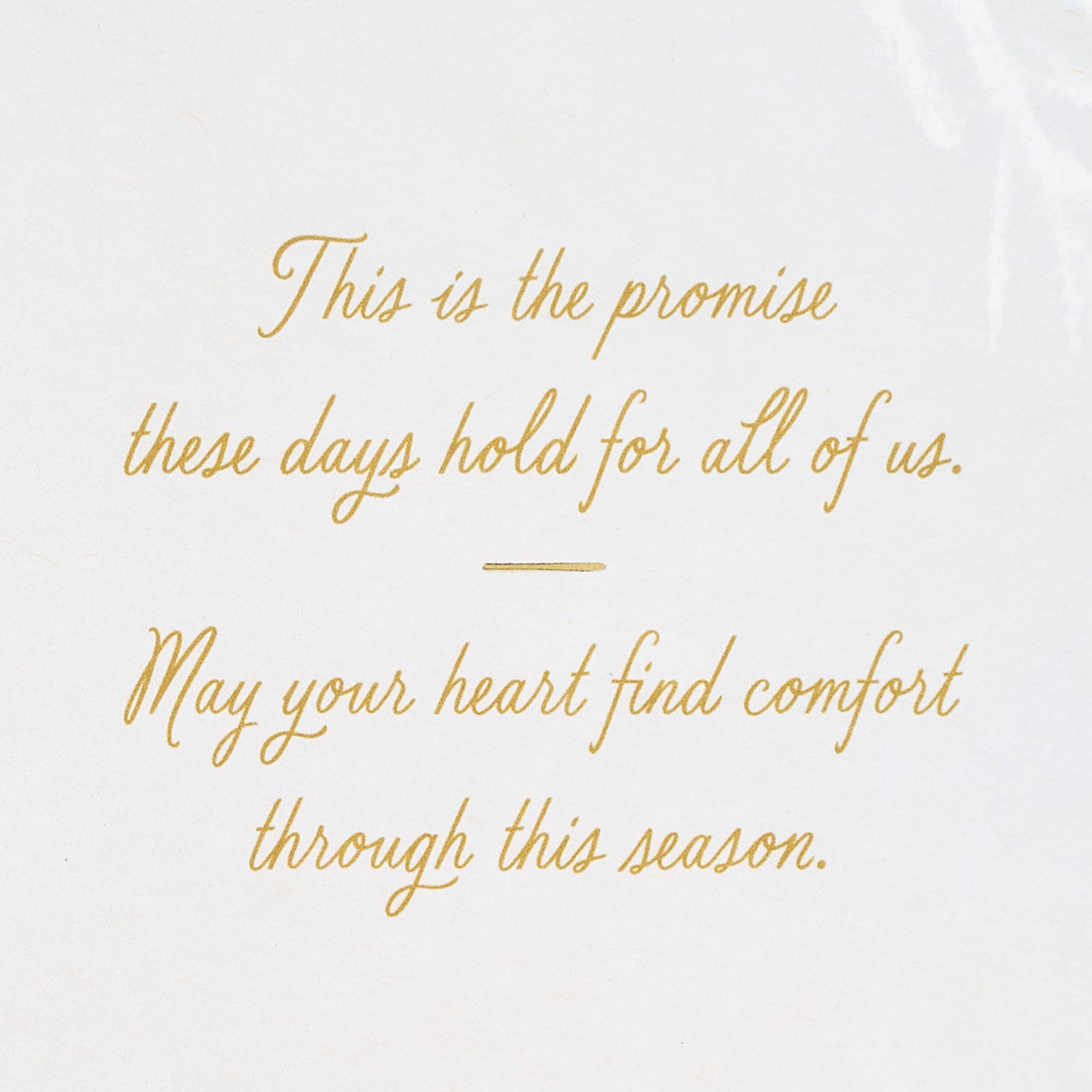 May Your Heart Find Comfort Christmas Card for only USD 4.59 | Hallmark
