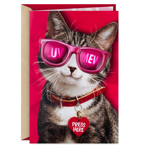 Luv Mew Funny Valentine's Day Card With Light and Sound, 