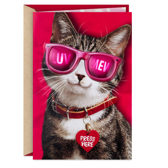 Luv Mew Funny Valentine's Day Card With Light and Sound