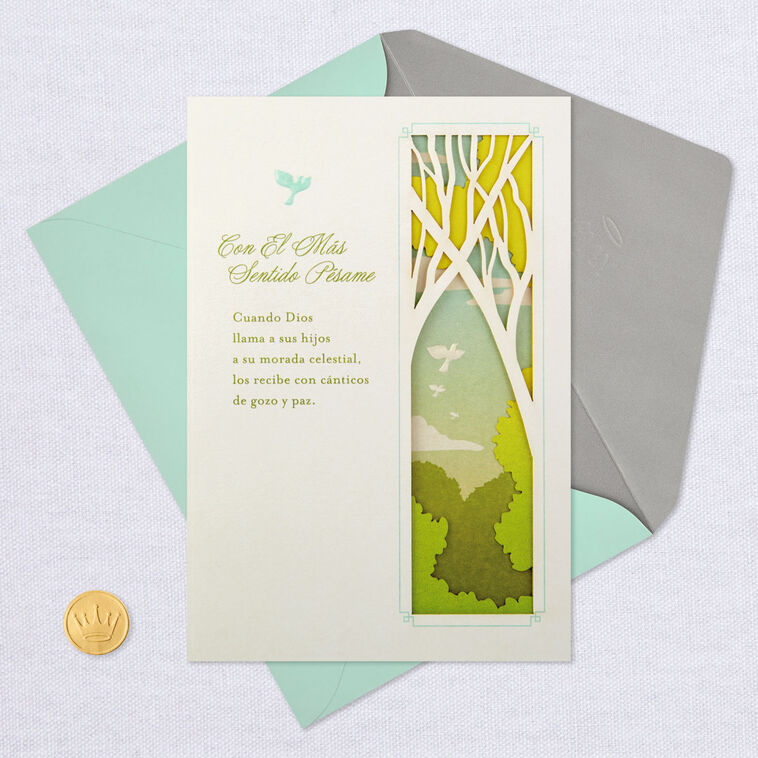 Light and Comfort Spanish-Language Religious Sympathy Card, , large image number 6