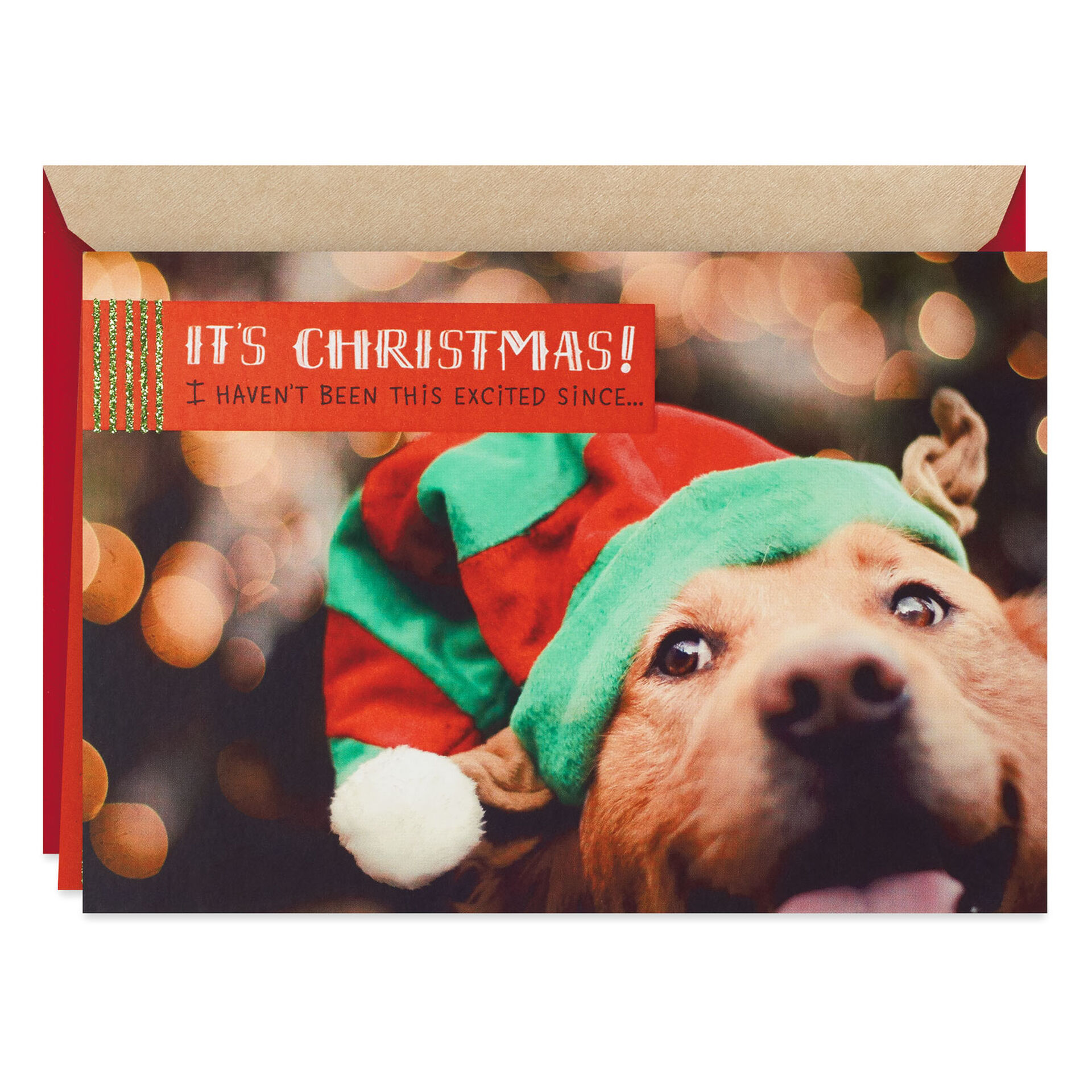 Pawsome Christmas Card From the Dog - Greeting Cards - Hallmark