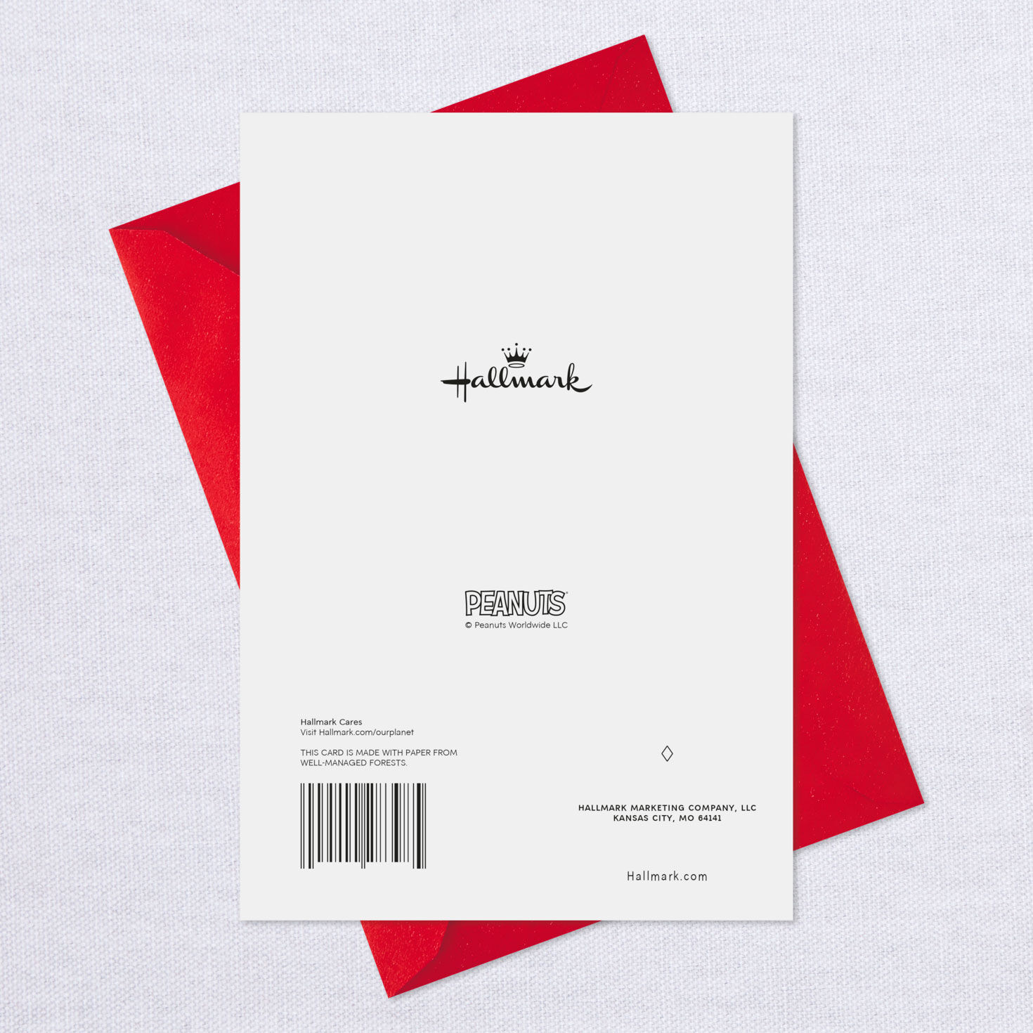 Peanuts&reg; Snoopy and Woodstock in Stockings Funny Christmas Card, , large image number 7