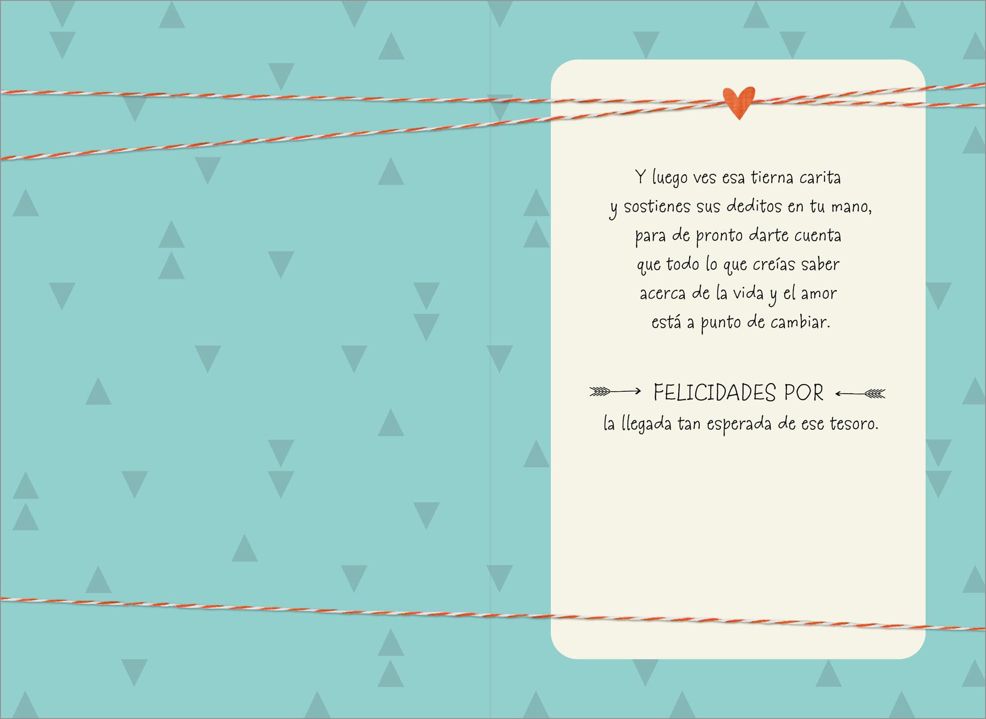 Dreams, Plans, Preparations Spanish-Language New Baby Card