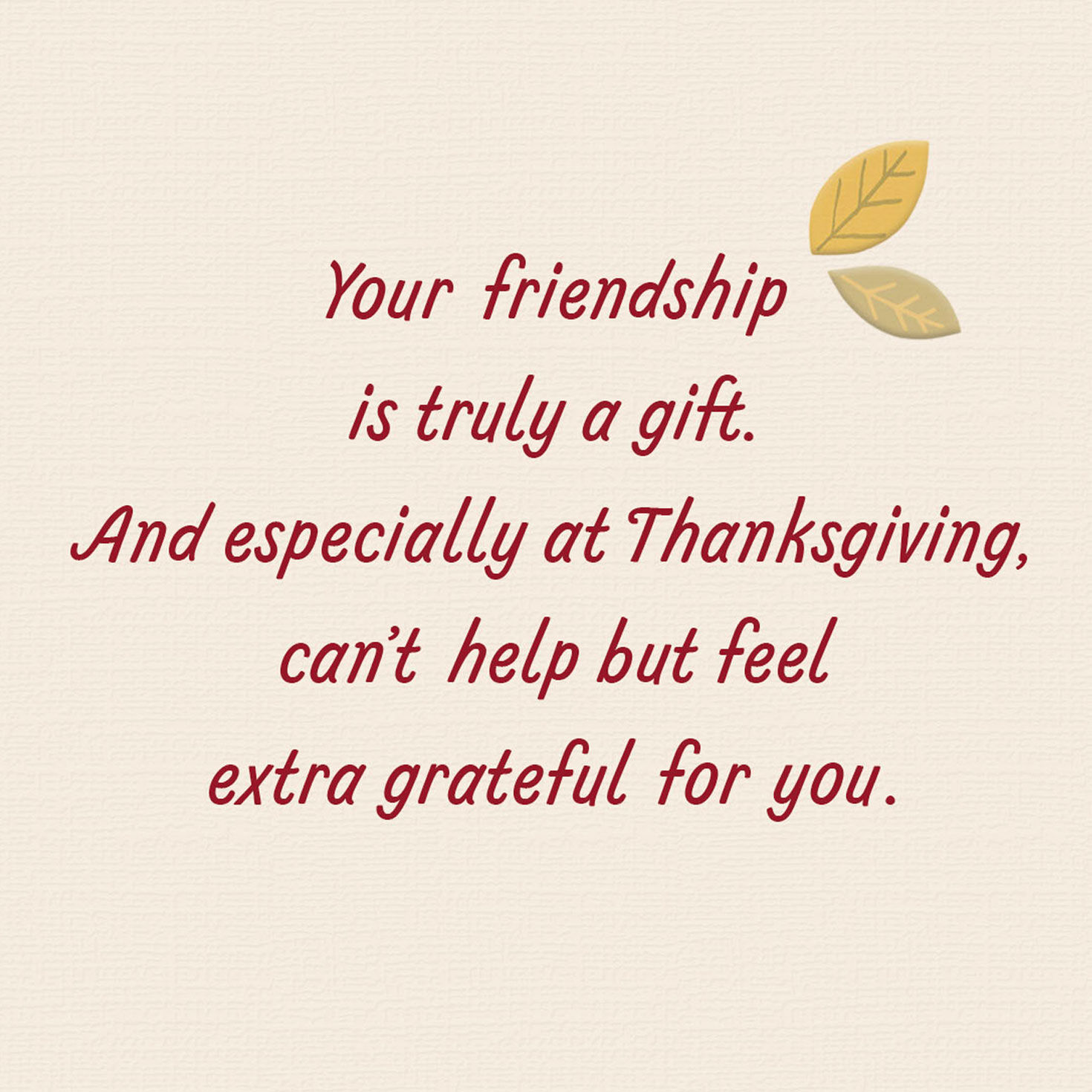 Pumpkins and Fall Leaves Friendsgiving Card Sentiment image number 2