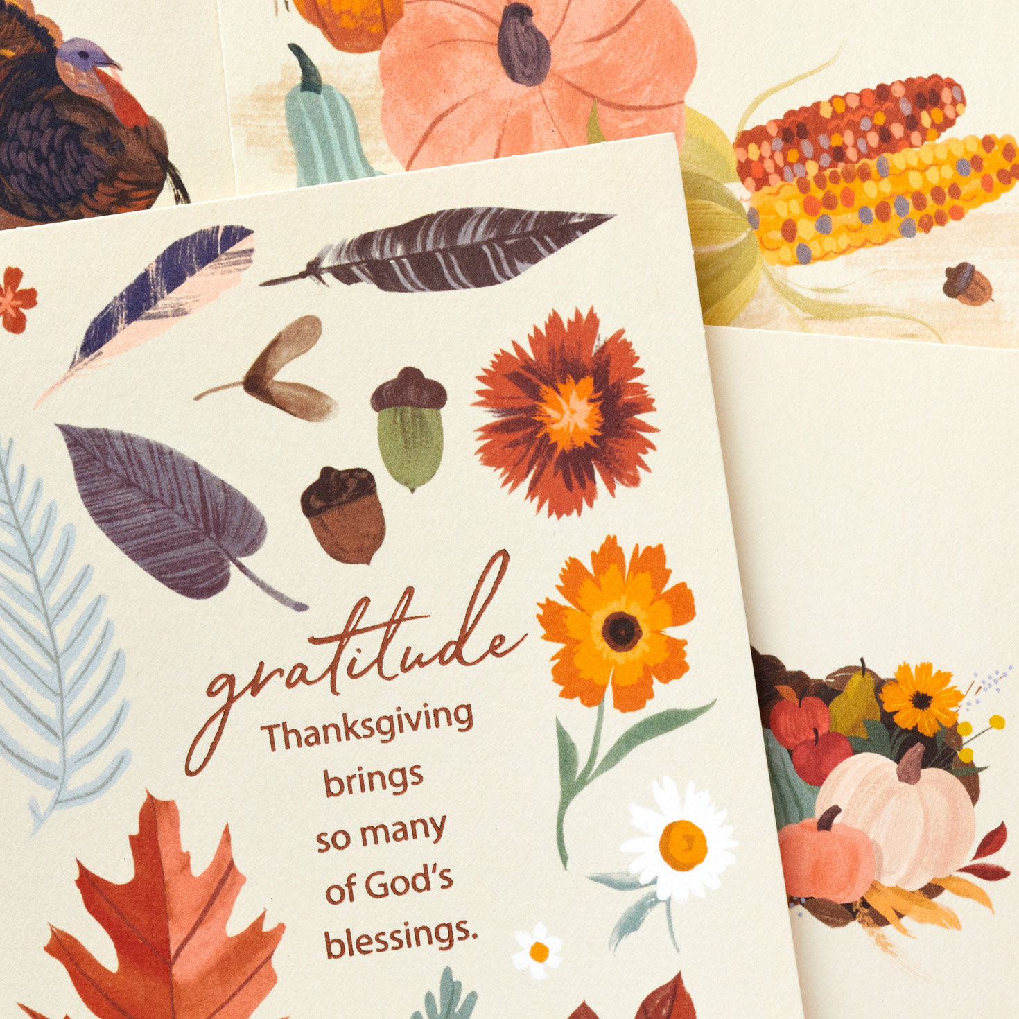 Religious Botanical Thanksgiving Cards Assortment cover detail image number 6