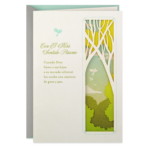 Light and Comfort Spanish-Language Religious Sympathy Card, 