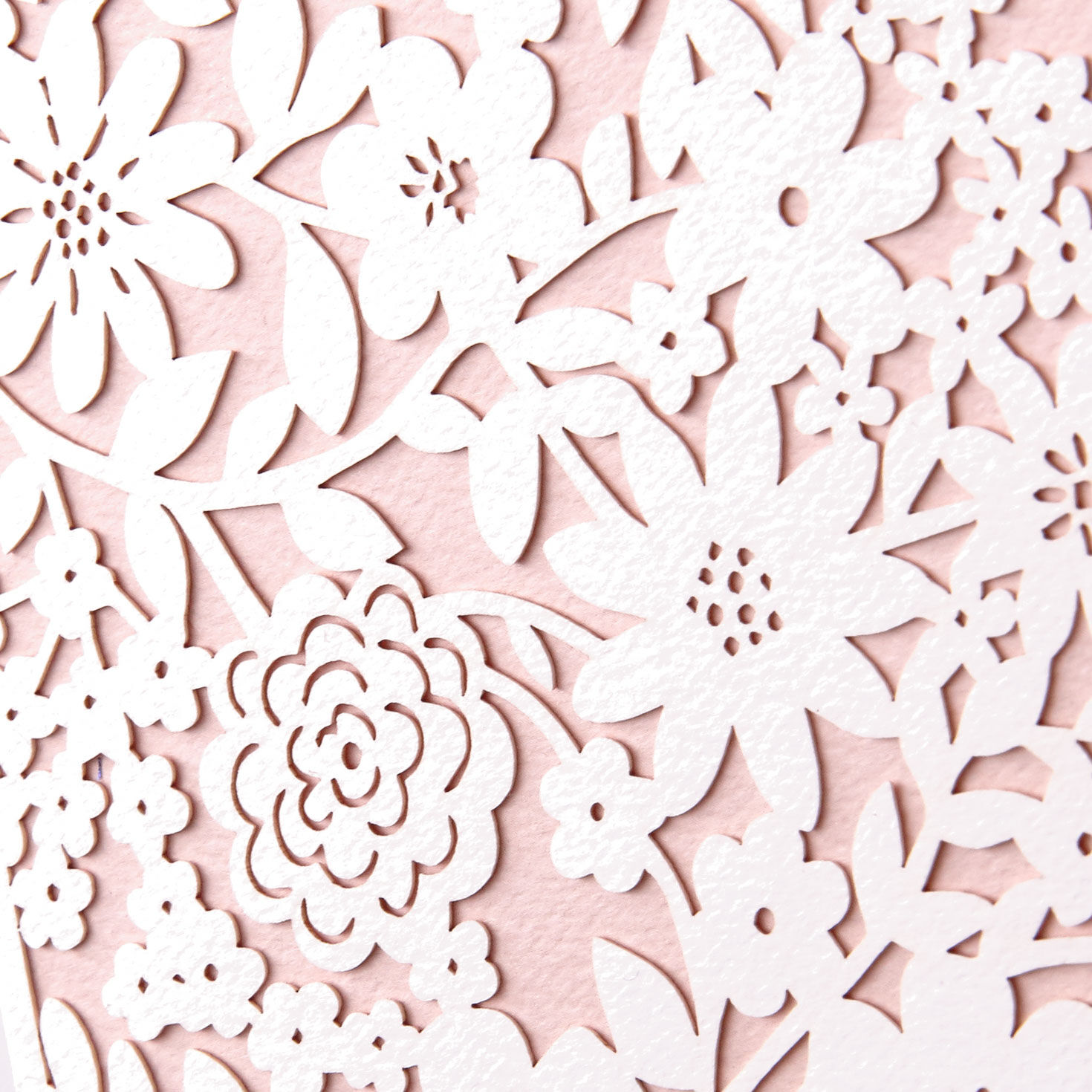 White Flowers and Leaves on Light Pink Blank Card Card Front Detail image number 3