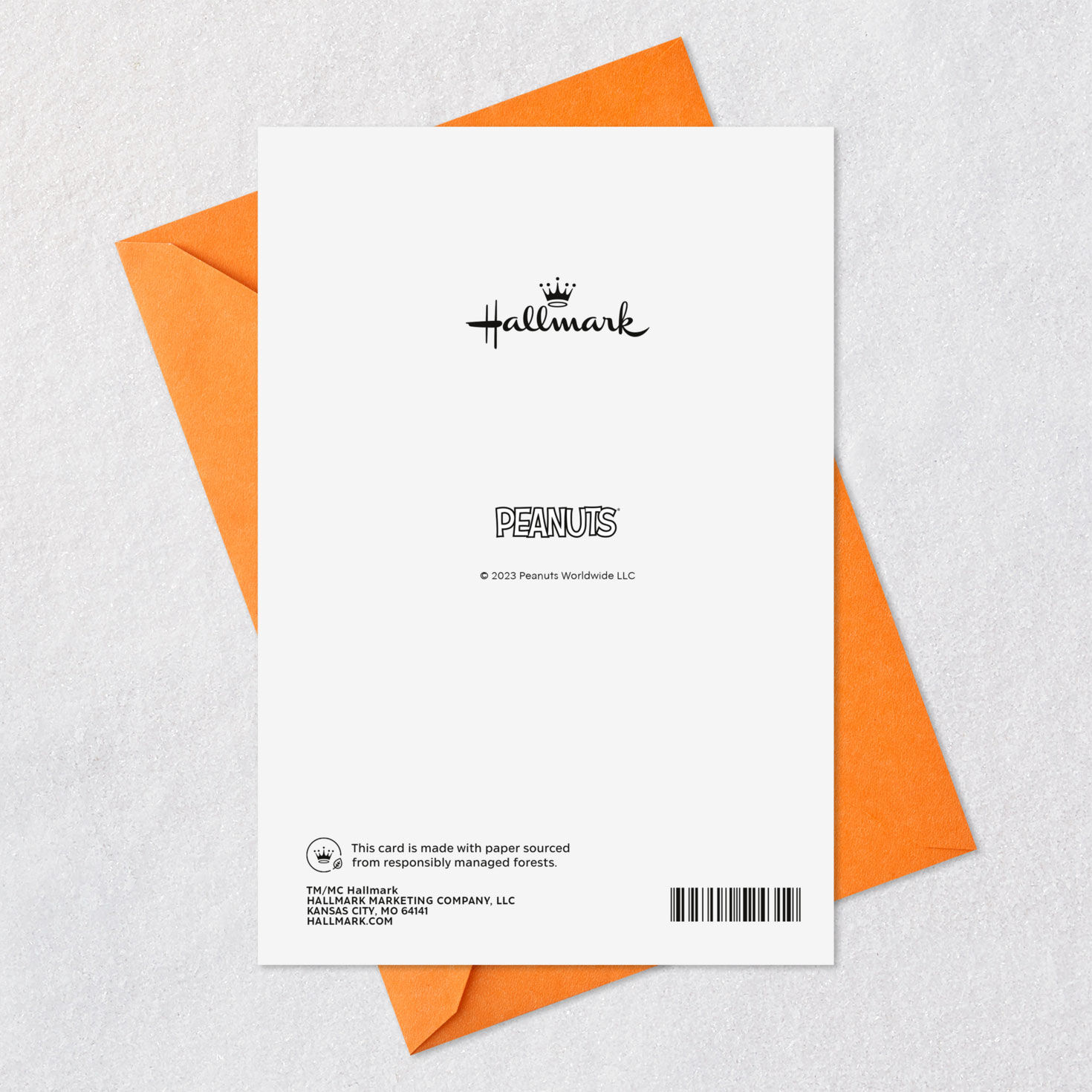 Peanuts&reg; I Got a Rock Funny Halloween Card, , large image number 7