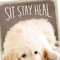 Sit, Stay, Heal Puppy Dog Get Well Card, , large image number 4