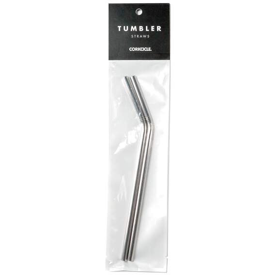 Corkcicle® Stainless Steel Tumbler Straws, Pack of 2