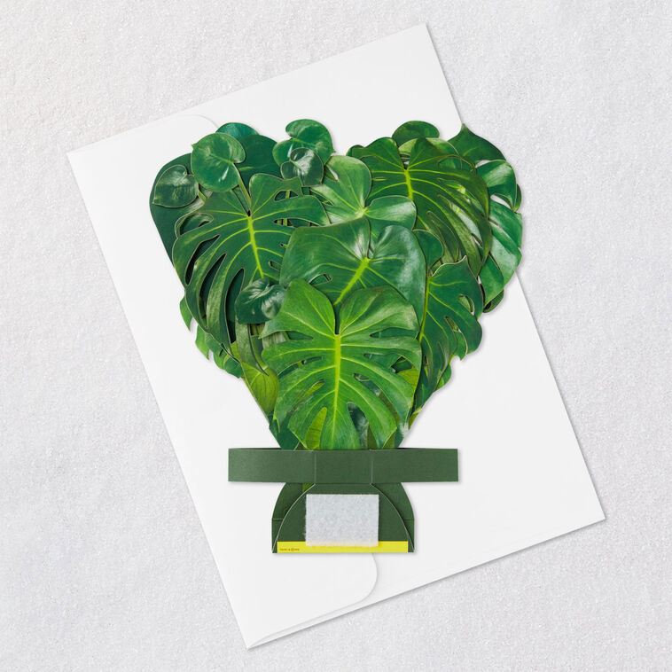 Build-a-Bouquet Monstera Pop-Up Paper Plant, Monstera Plant, large image number 8