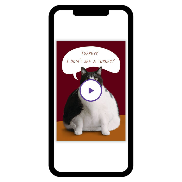 Fat Cat Funny Thanksgiving eCard