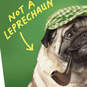 Not a Leprechaun Funny St. Patrick's Day Card, , large image number 4