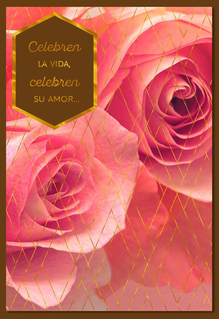 Pink Roses Spanish Anniversary Card