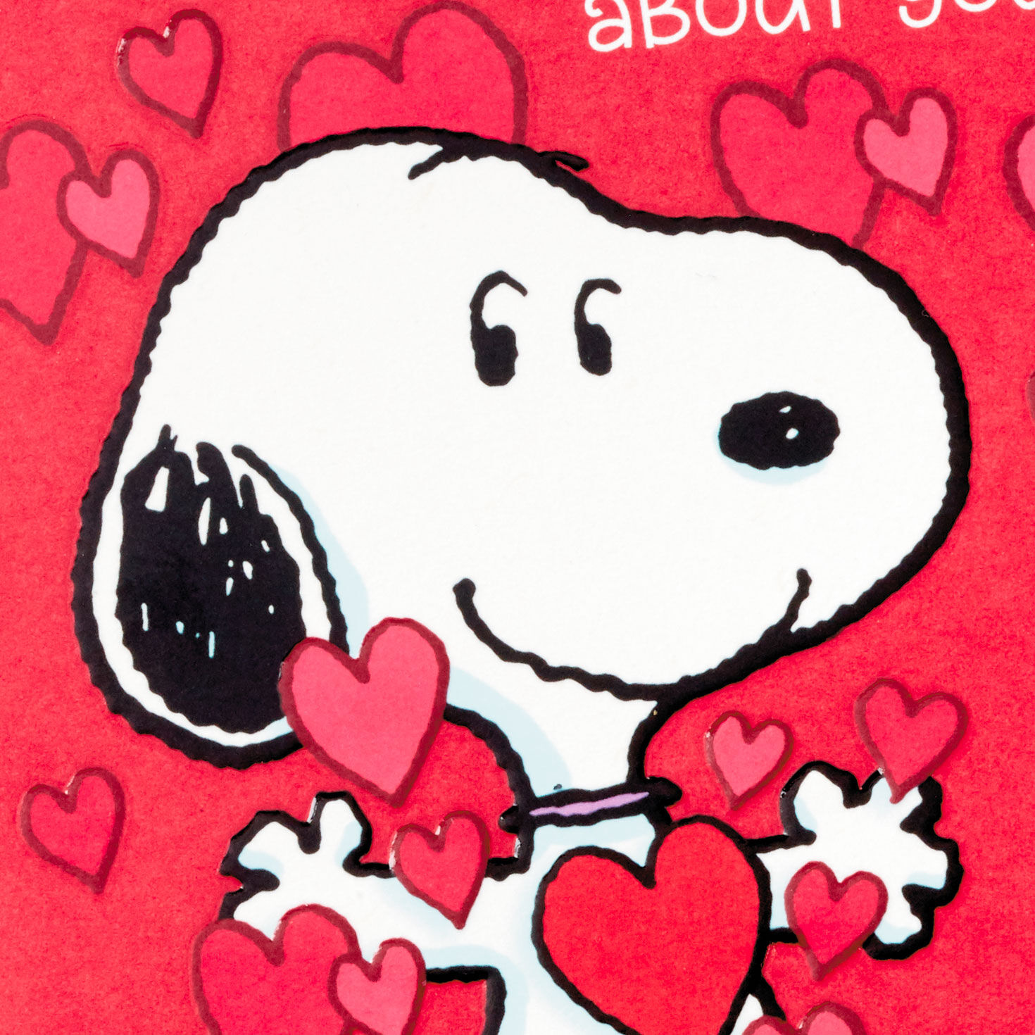 Peanuts® Love Everything About You Valentine's Day Card for only USD 2.99 | Hallmark