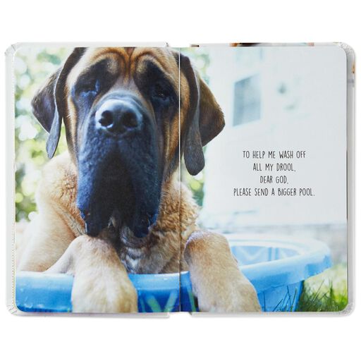 Pet Prayers: Funny Pleas and Praise From Our Animal Friends Book, 