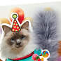 Party Cat Funny Musical Birthday Card With Motion, , large image number 4