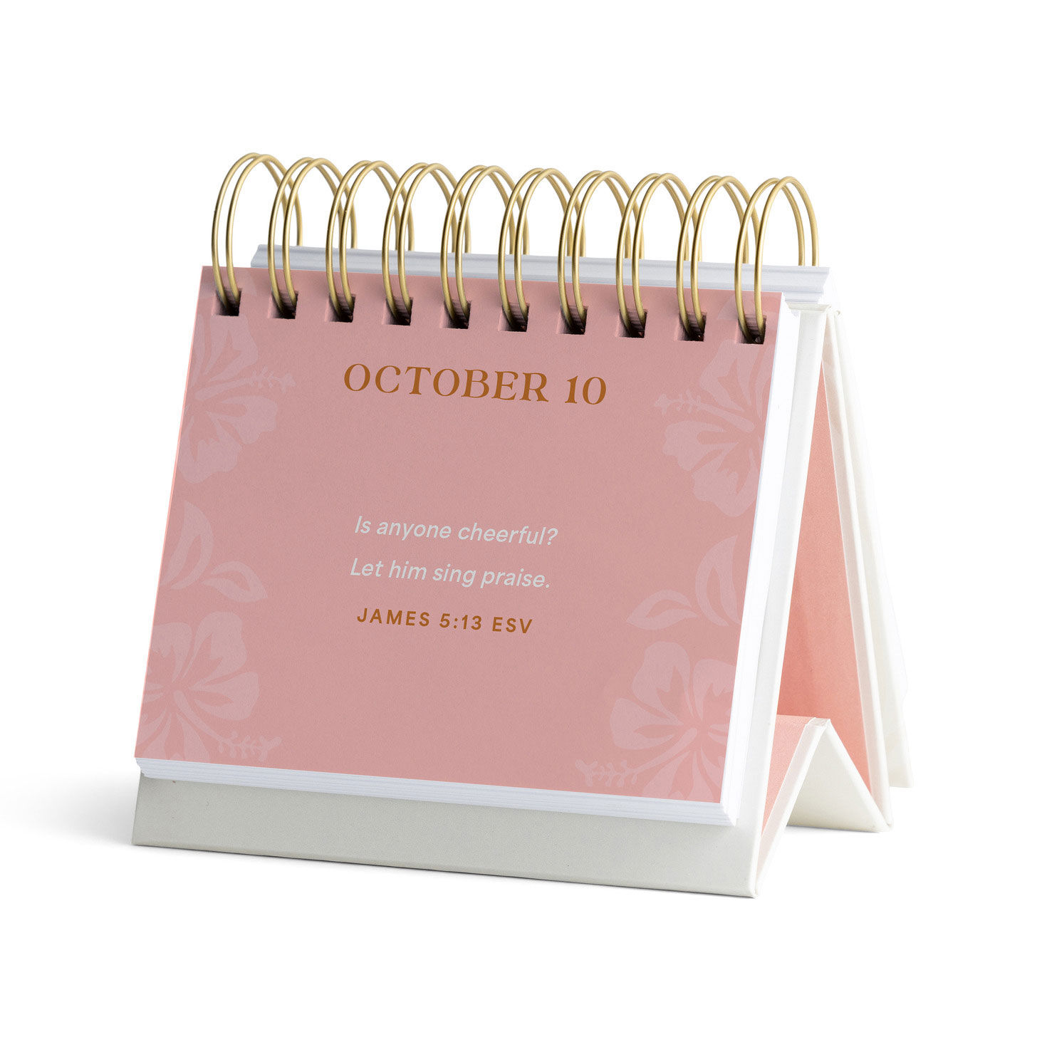 Hannah Crews Holy Spirit Perpetual Calendar inside page image number 4