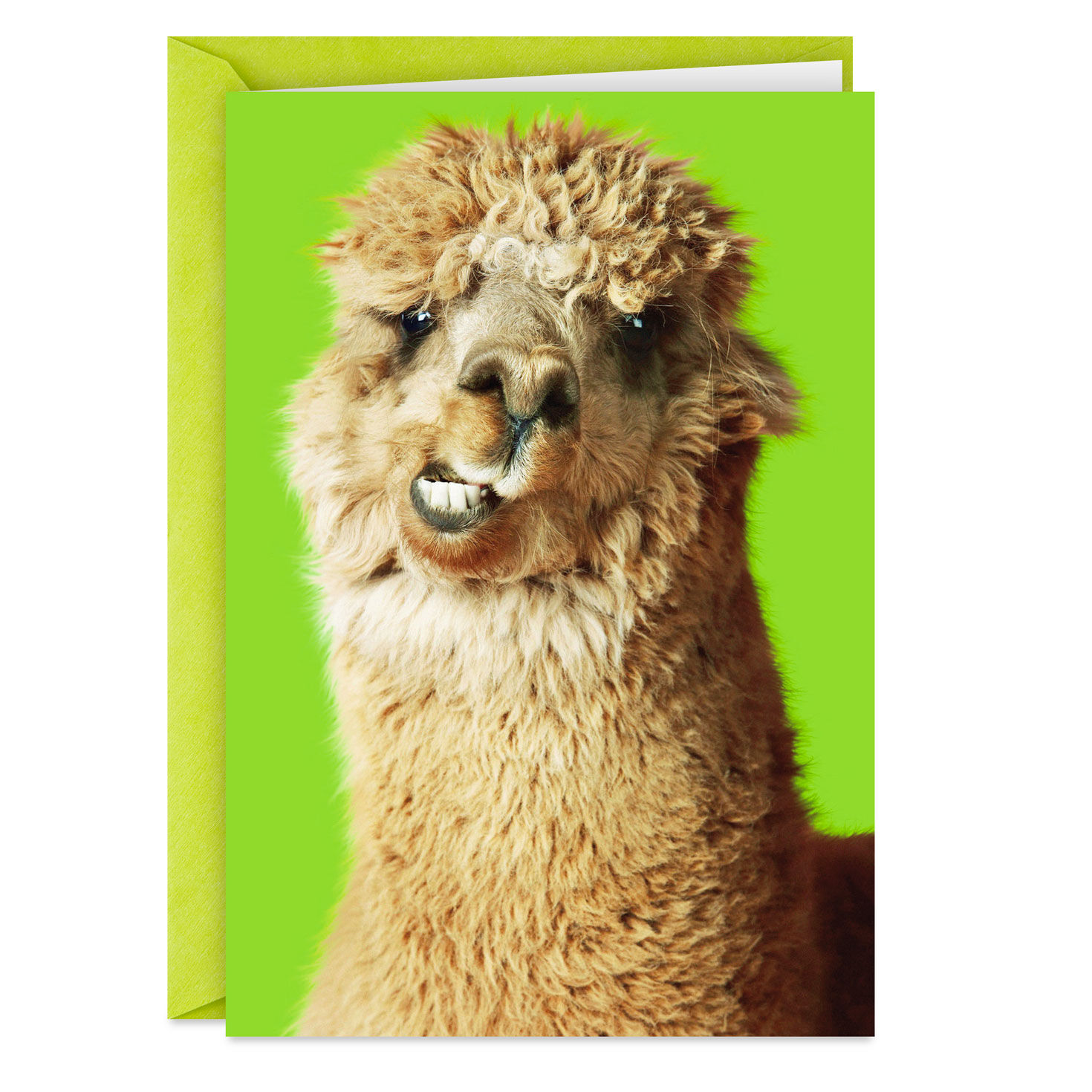 Nobody Gets Me Like You Do Funny Friendship Card, , large image number 1