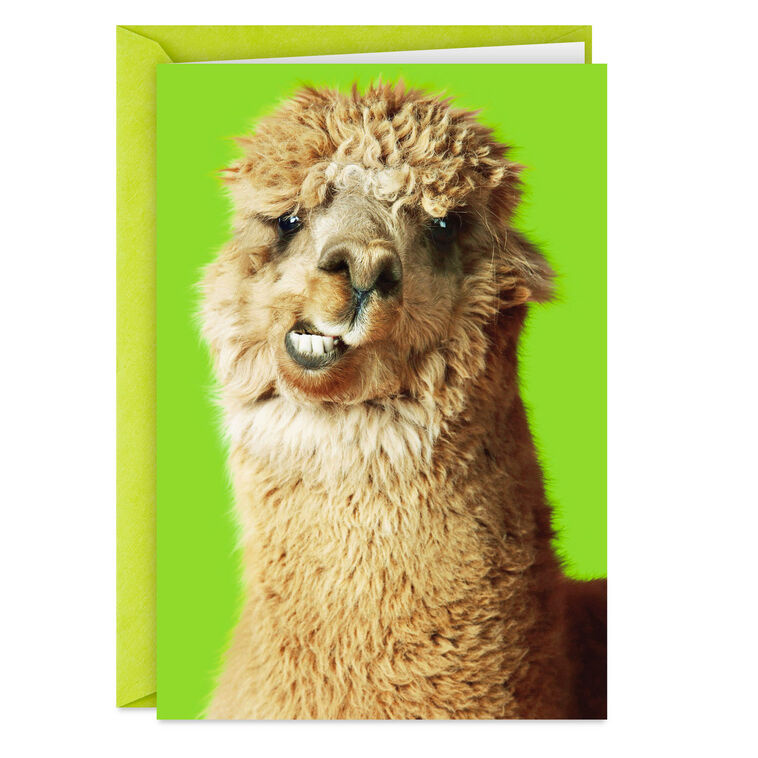 Nobody Gets Me Like You Do Funny Friendship Card