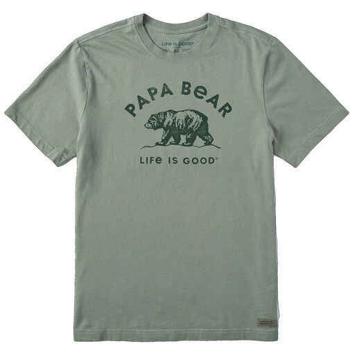 Life is Good Papa Bear Sage Green Men's T-Shirt, 