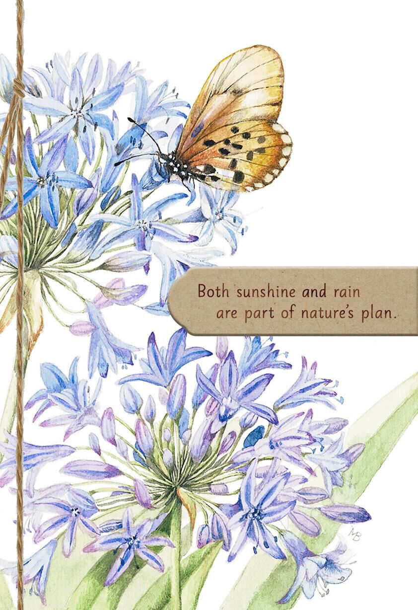 Marjolein Bastin Butterfly on Allium Encouragement Card
