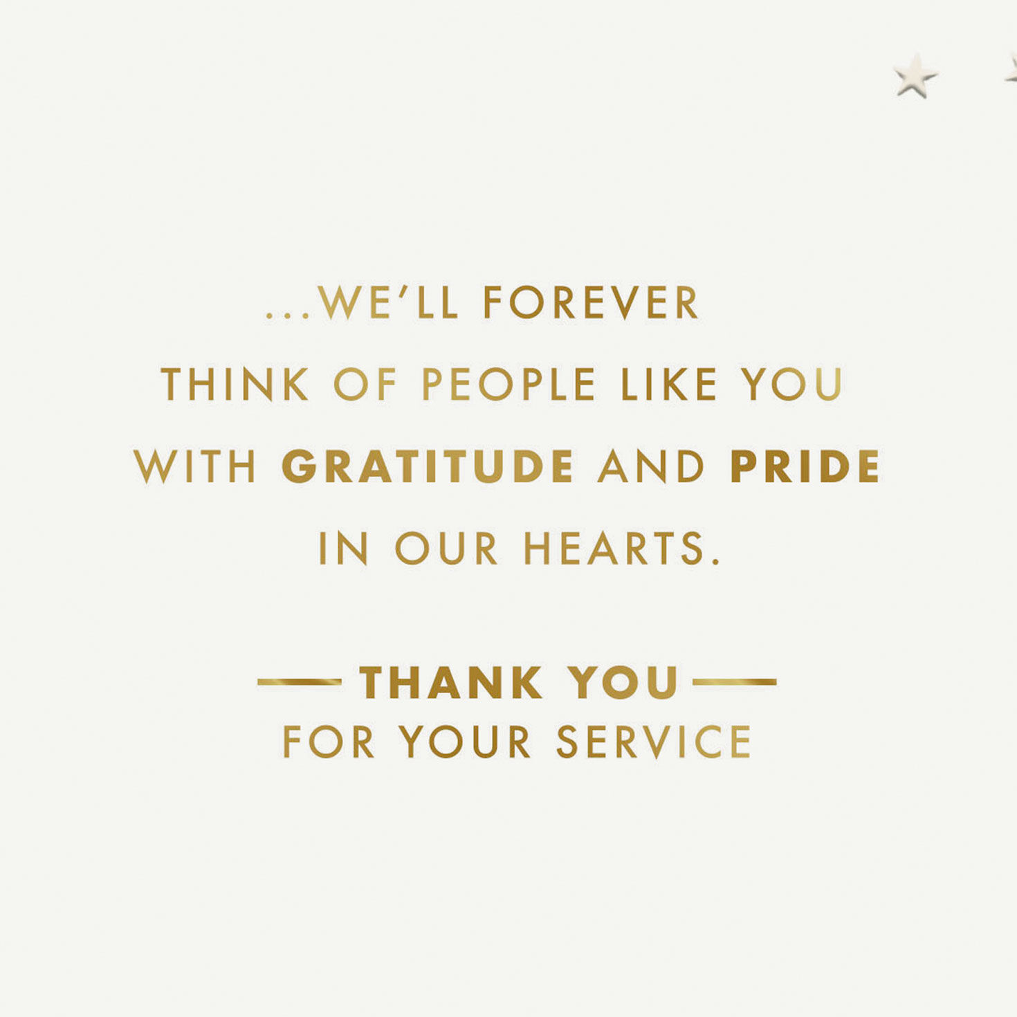 American Flag Veterans Day Card Sentiment image number 2