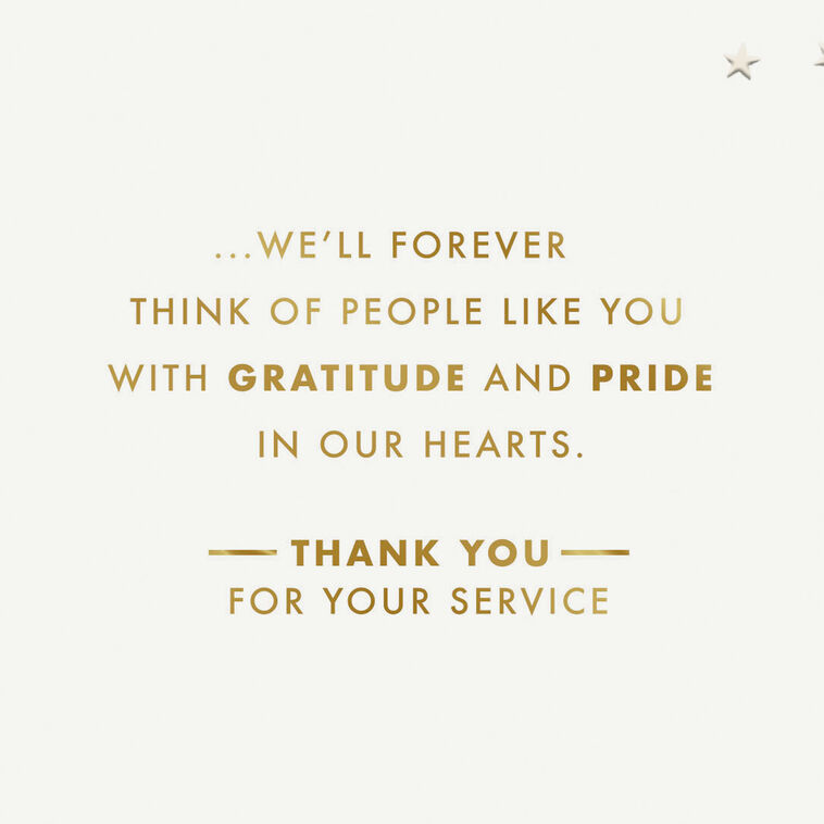 American Flag Veterans Day Card Sentiment image number 2