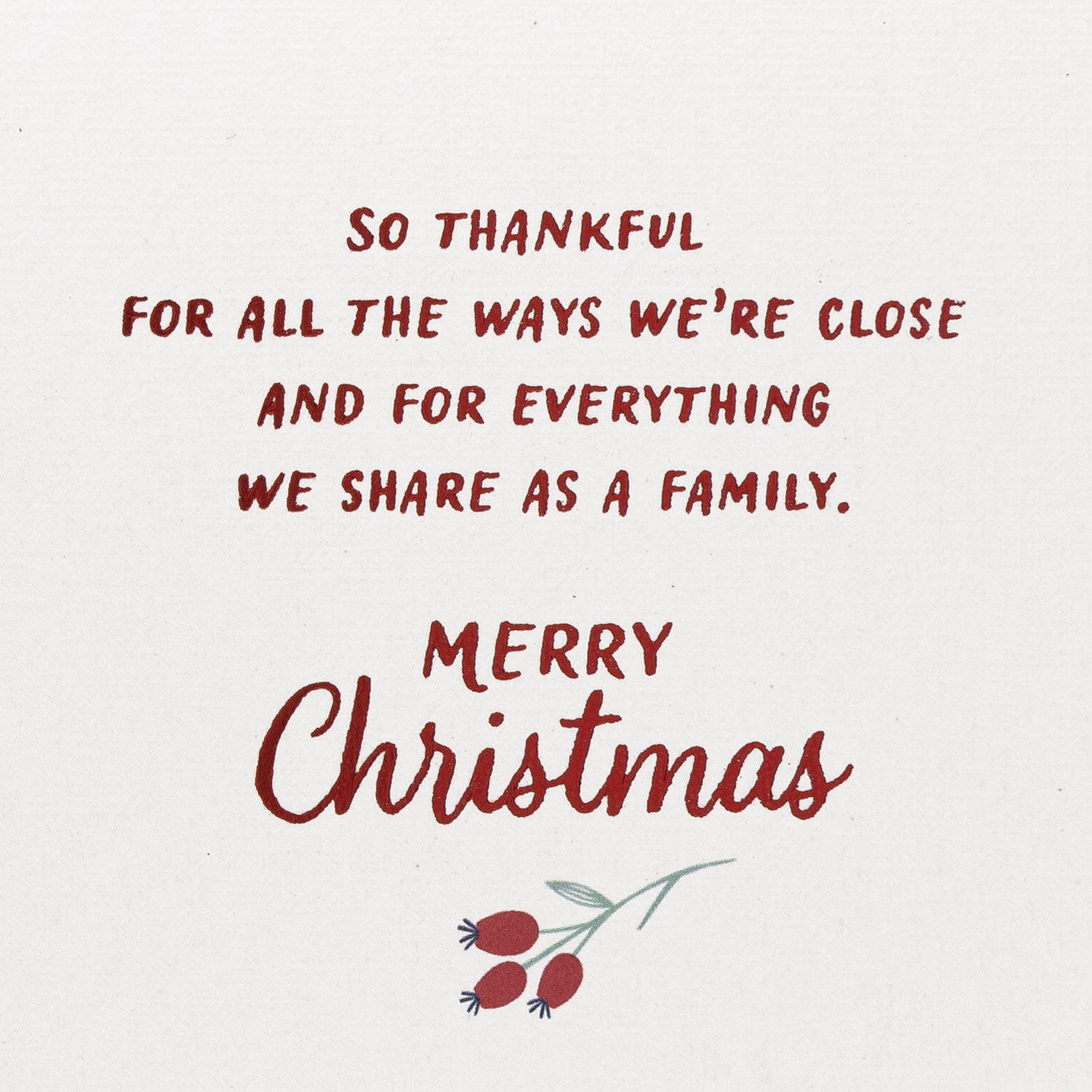 Thankful for All We Share Christmas Card for Family, , large image number 2