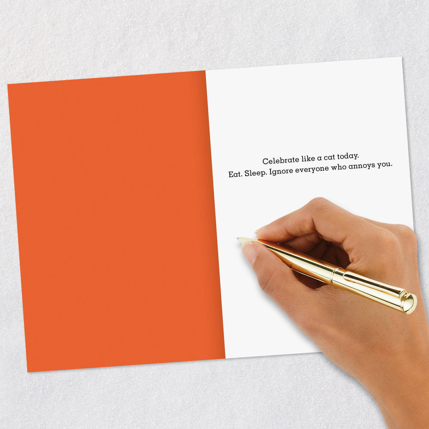 Sleeping Kitty Cat Funny Birthday Card Signing card image number 6