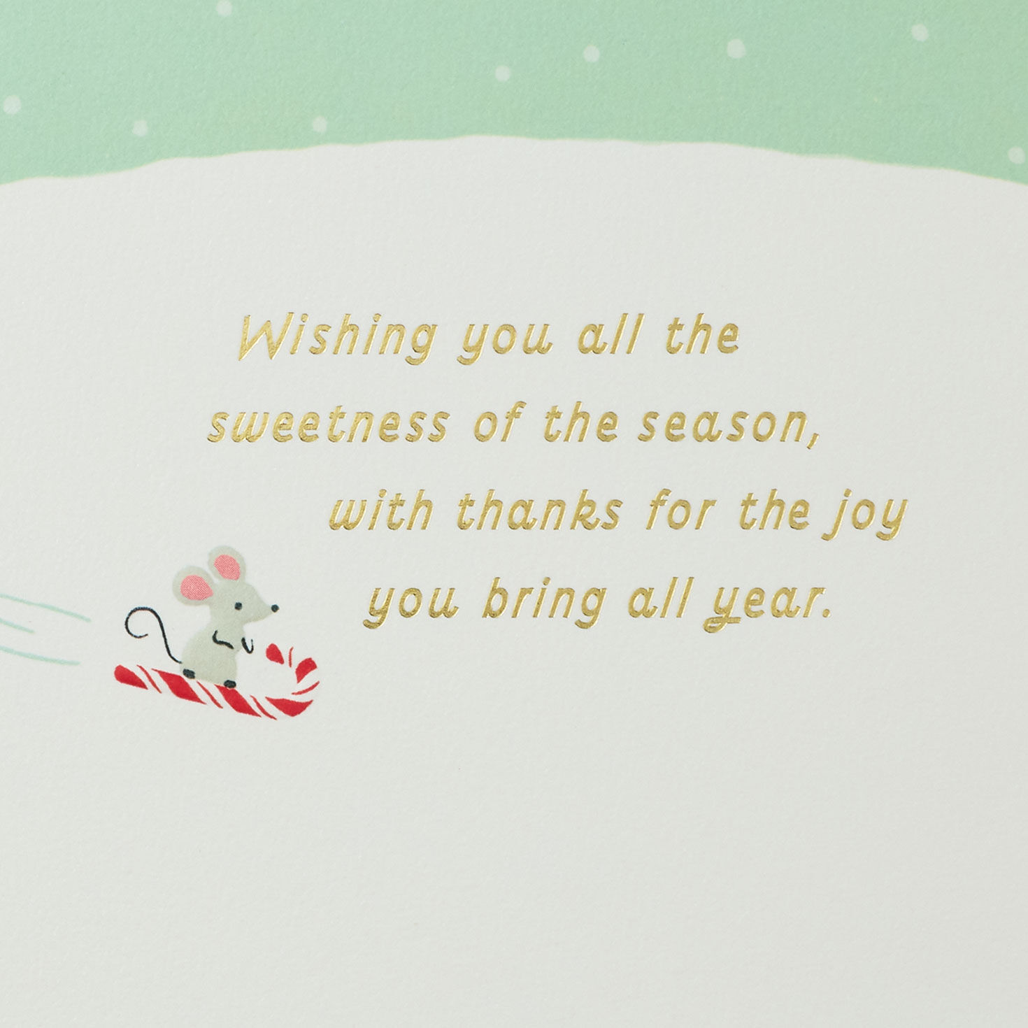 Snowman and Dog Mint Green Christmas Card Sentiment image number 2