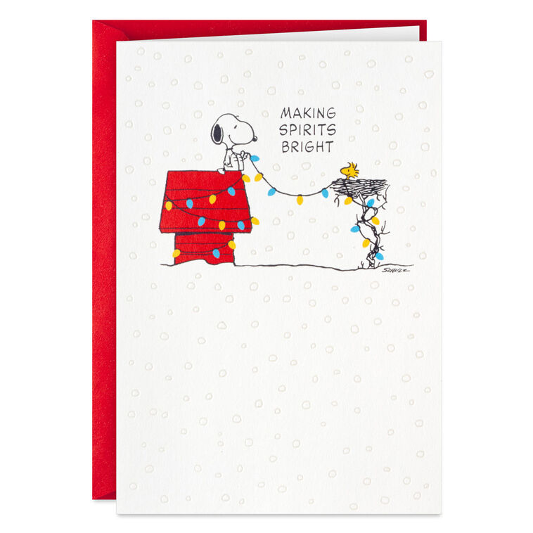Peanuts® Snoopy and Woodstock Hanging Lights Boxed Christmas Cards, Pack of 16 - Boxed Cards | Hallmark peanuts-snoopy-and-woodstock-hanging-lights-boxed-christmas-cards-pack-of-16-boxed-cards-hallmark