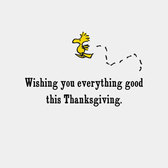 Peanuts® Snoopy and Woodstock So Thankful Thanksgiving Card, , large image number 2