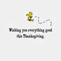 Peanuts® Snoopy and Woodstock So Thankful Thanksgiving Card, , large image number 2