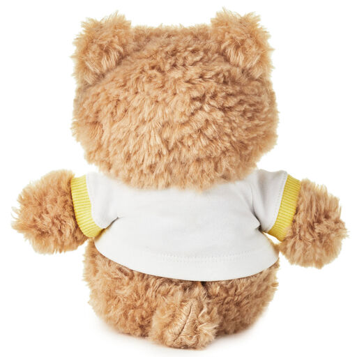 Welcome Baby Recordable Teddy Bear Stuffed Animal, 8.75", 