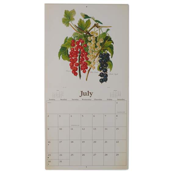 Botanical Fruit 2017 Wall Calendar, , large image number 2