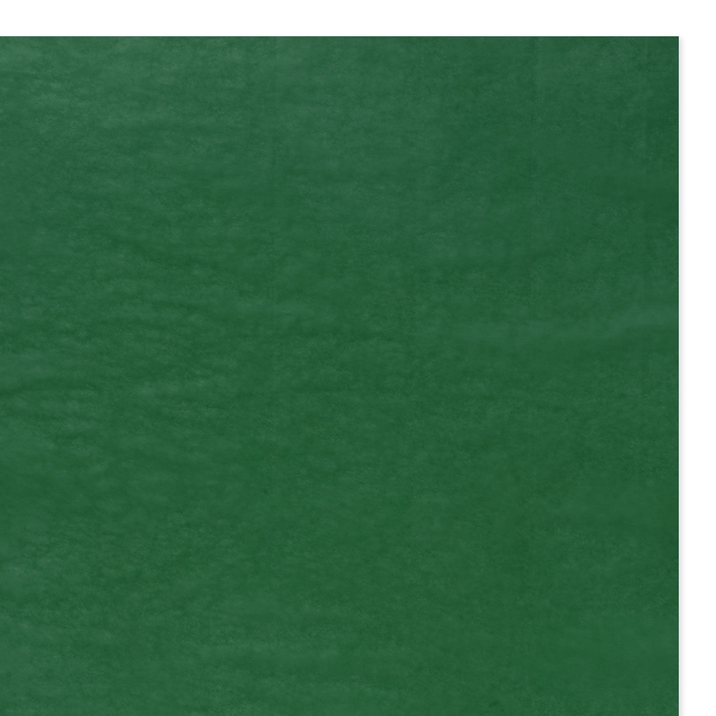 Solid Green Holiday Tissue Paper upclose view image number 4