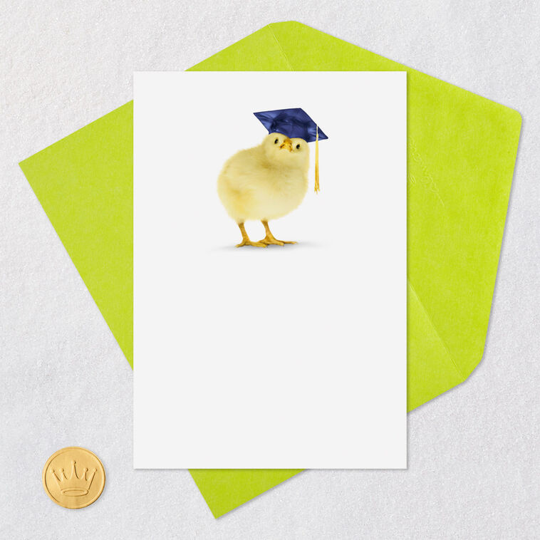 Baby Chick in Grad Cap Funny Graduation Card  image number 5