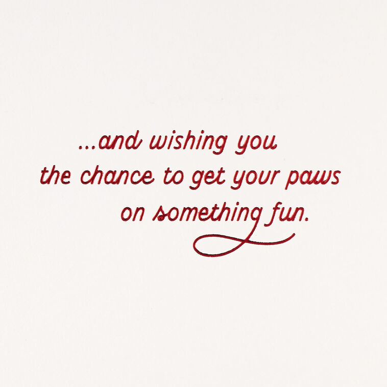 Furry Wishes Christmas Card From Cat, , large image number 2