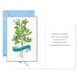 Green Herbs With Banner Passover Cards, Pack of 6, , large image number 2