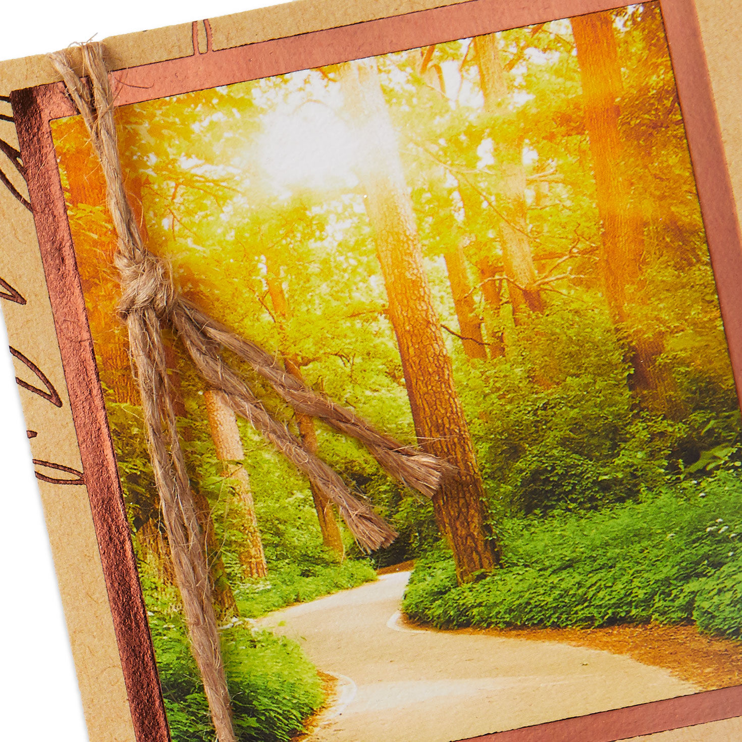 God Will Not Leave You Alone Religious Encouragement Card, , large image number 4